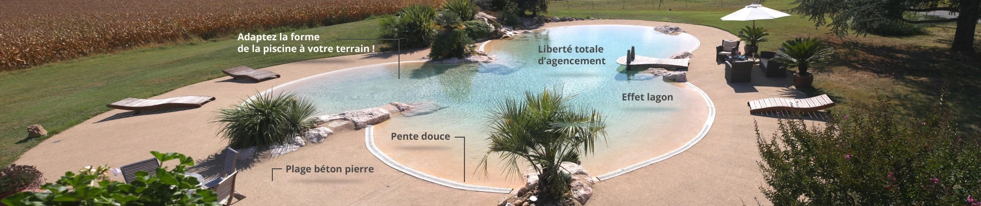 Piscine Naturaswim Vaucluse - Alvea Provence